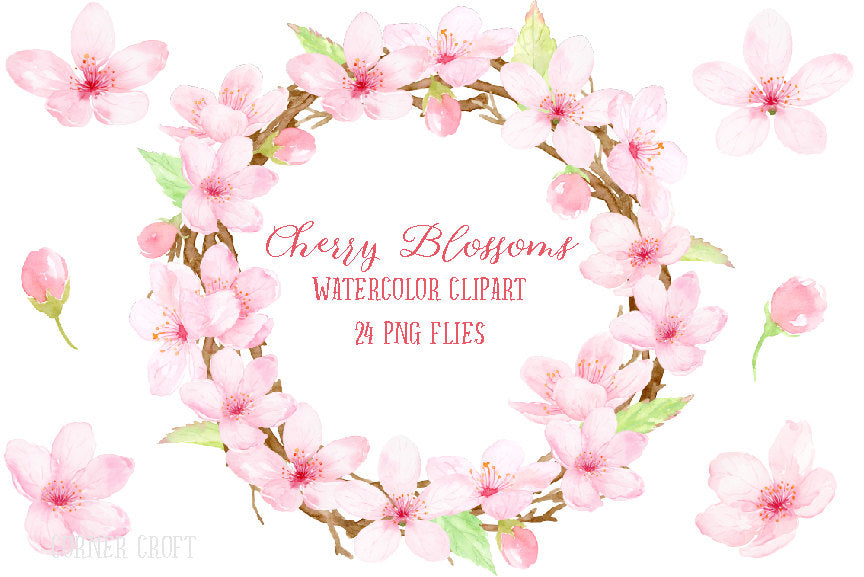 Watercolor Cherry Blossoms illustration, watercolor clipart, detailed illustration, pink flowers