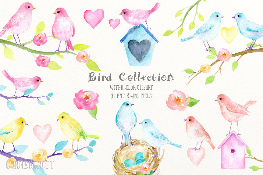 watercolor clipart, bird, pastel bird, bird clipart, birds, valentine birds, valentine clipart, eggs, heart