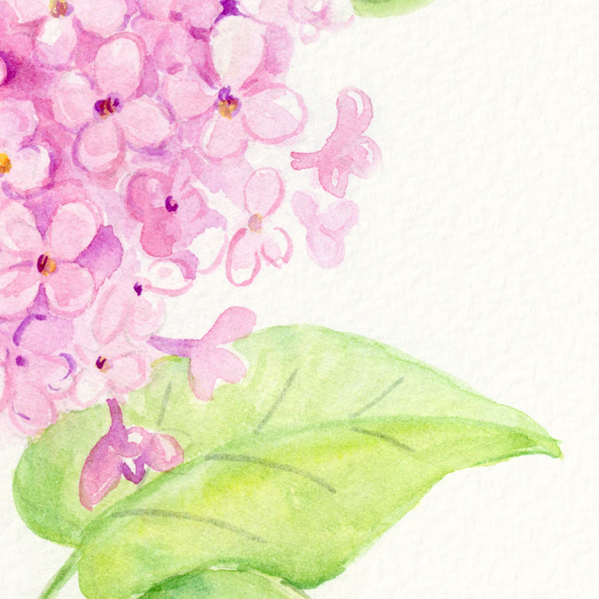 watercolor pink flower, pink lilac flower, instant download 