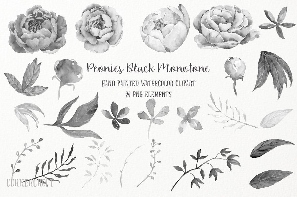 black and white peony for instant download, peonies black monotone digital download