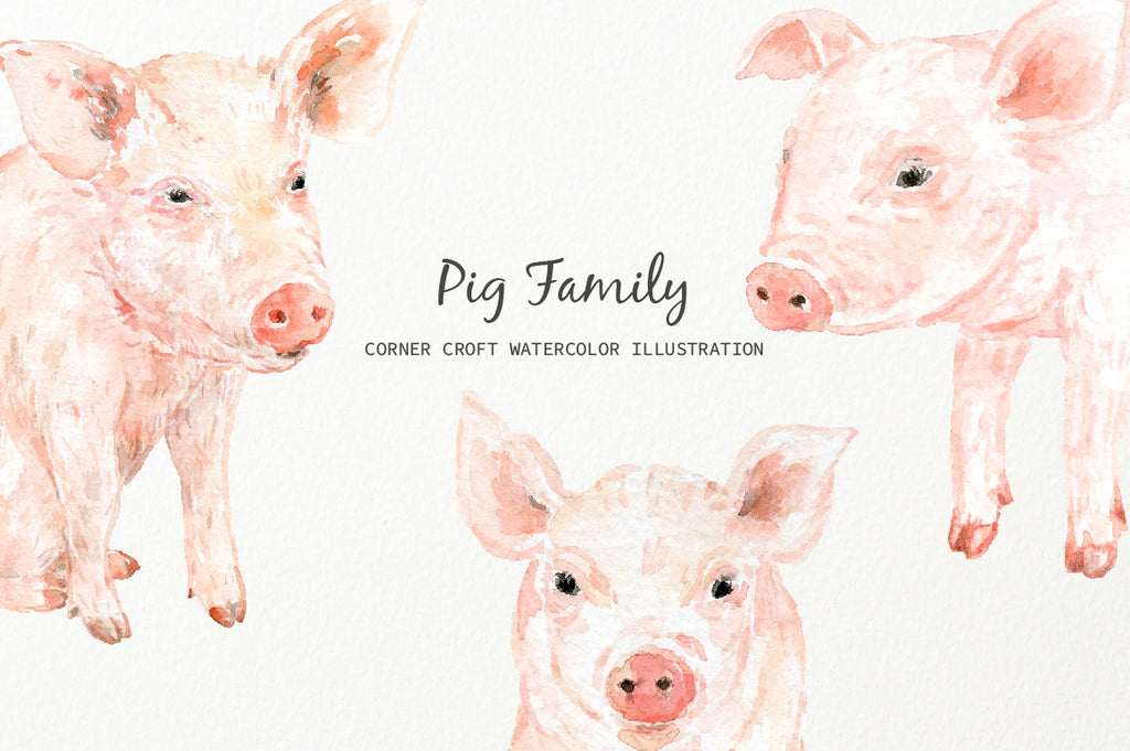 pig family illustration, instant download