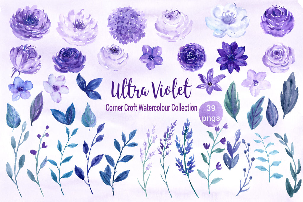 watercolor purple and lavender floral elements, rose, peony, watercolour illustration 