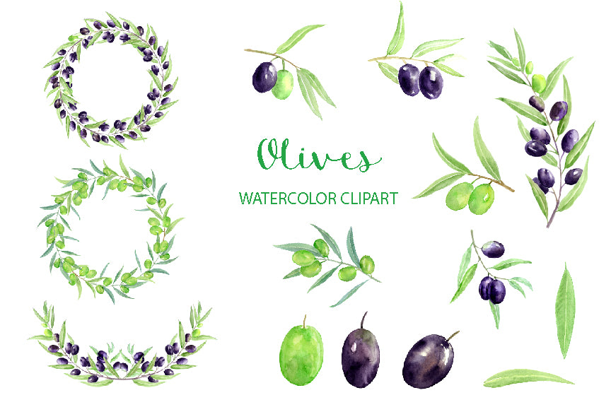 hand painted olive clipart, olive branch, olive garland, instant download 
