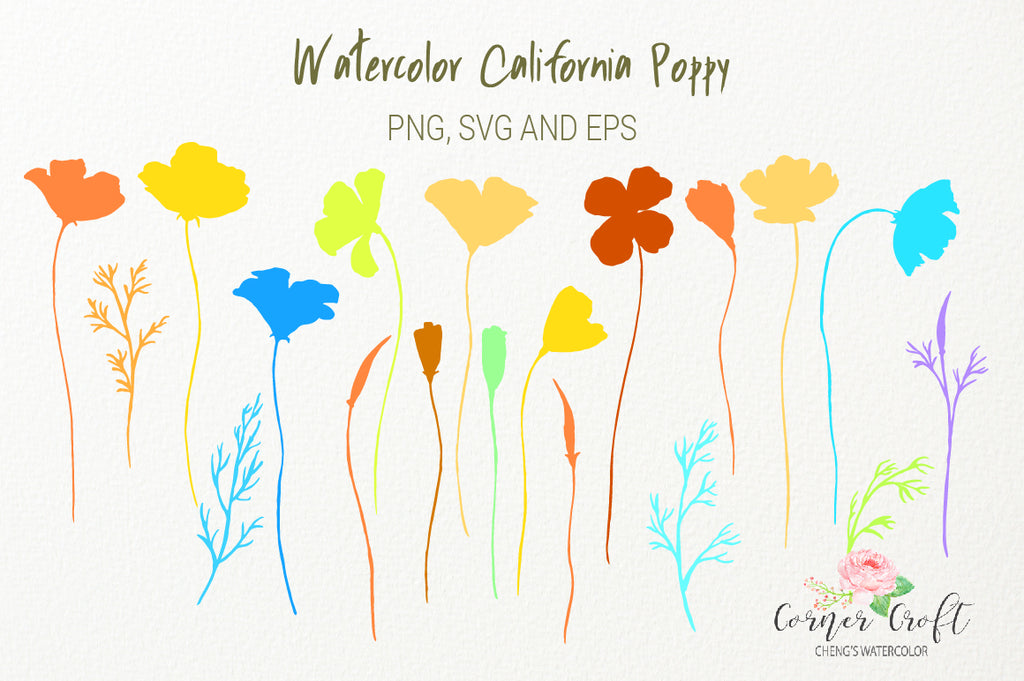 vector image of California poppy, poppy illustration
