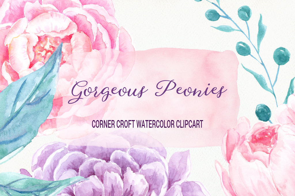 watercolor clipart, gorgeous peonies, peony, hand painted, pink, purple, red, plummy, instant download