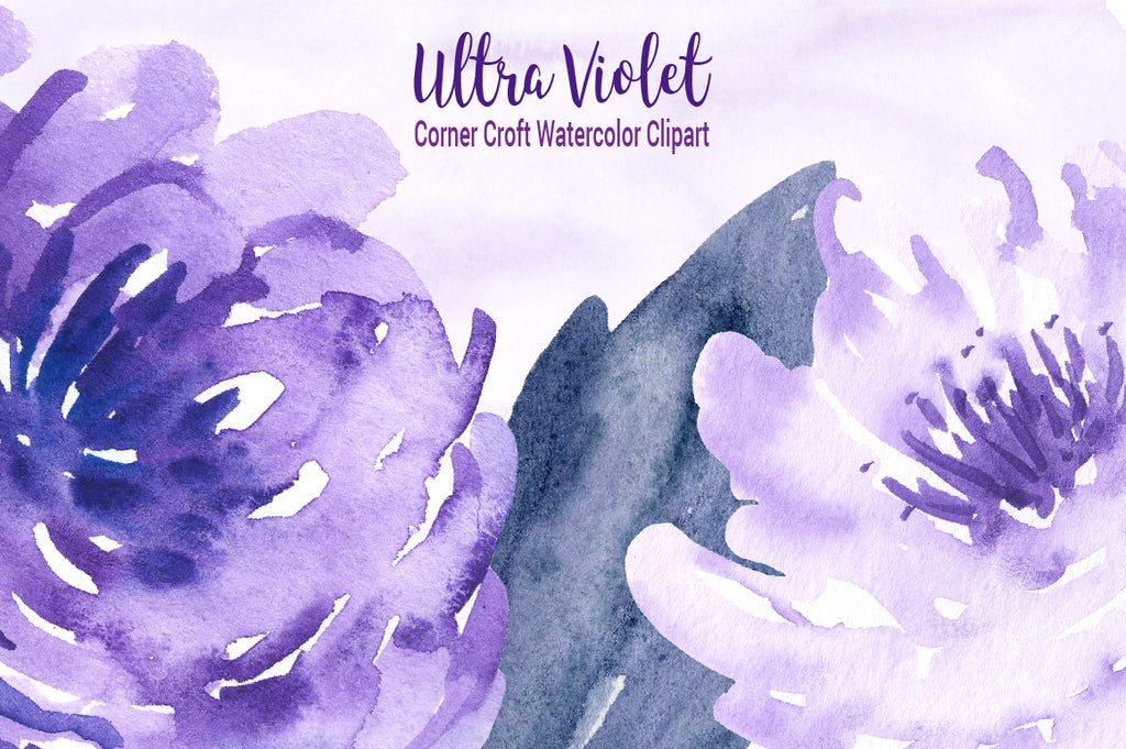 Watercolor clipart ultra violet, ultraviolet rose, peony illustration, instant download 
