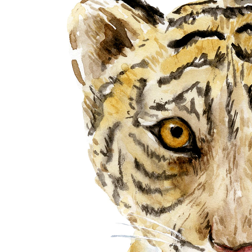 watercolor tiger cub, baby tiger, watercolor illustration, detailed wildlife, nursery print