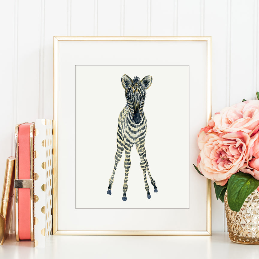 watercolor baby zebra, zebra foal illustration, detailed print