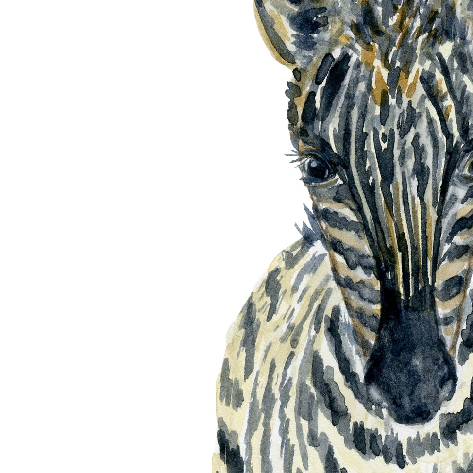 watercolor baby zebra print, nursery print, instant download