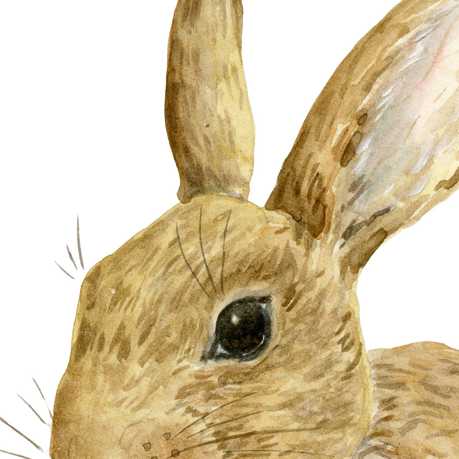 watercolor rabbit kit, baby rabbit, nursery print, instant download 
