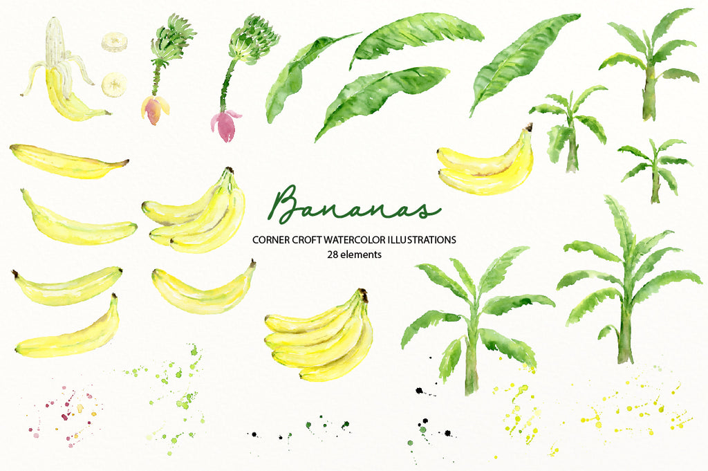 watercolor banan leaf, banan tree, banana flower, banana plant