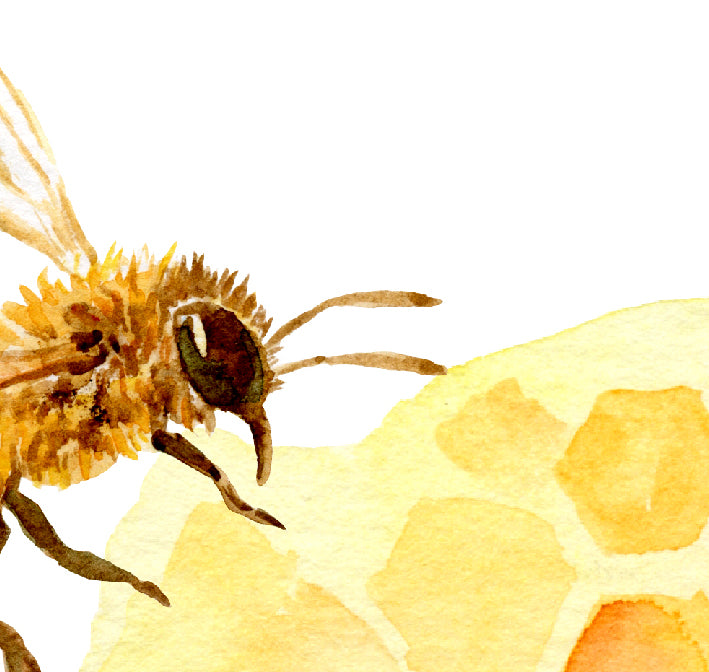 watercolor honey bees on honeycomb printable