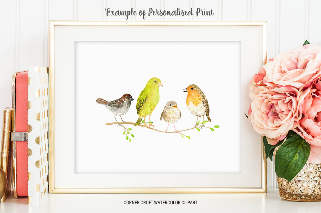 watercolor bird illustration sparrow, greenfinch, chick and robin