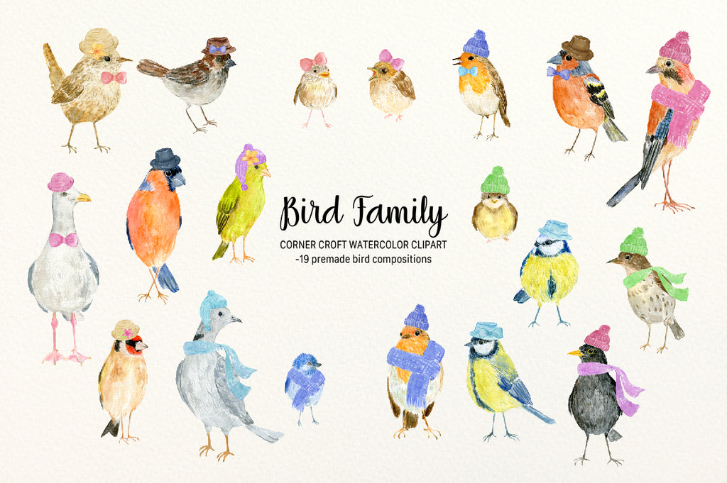 Bird Family Illustration, Watercolor Garden Birds For Making Persoanlised Prints