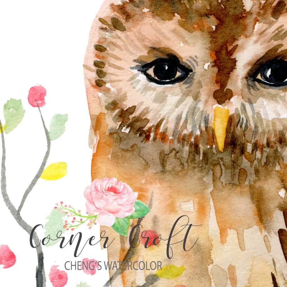 watercolor bird illustration, watercolor print, digital download, owl print