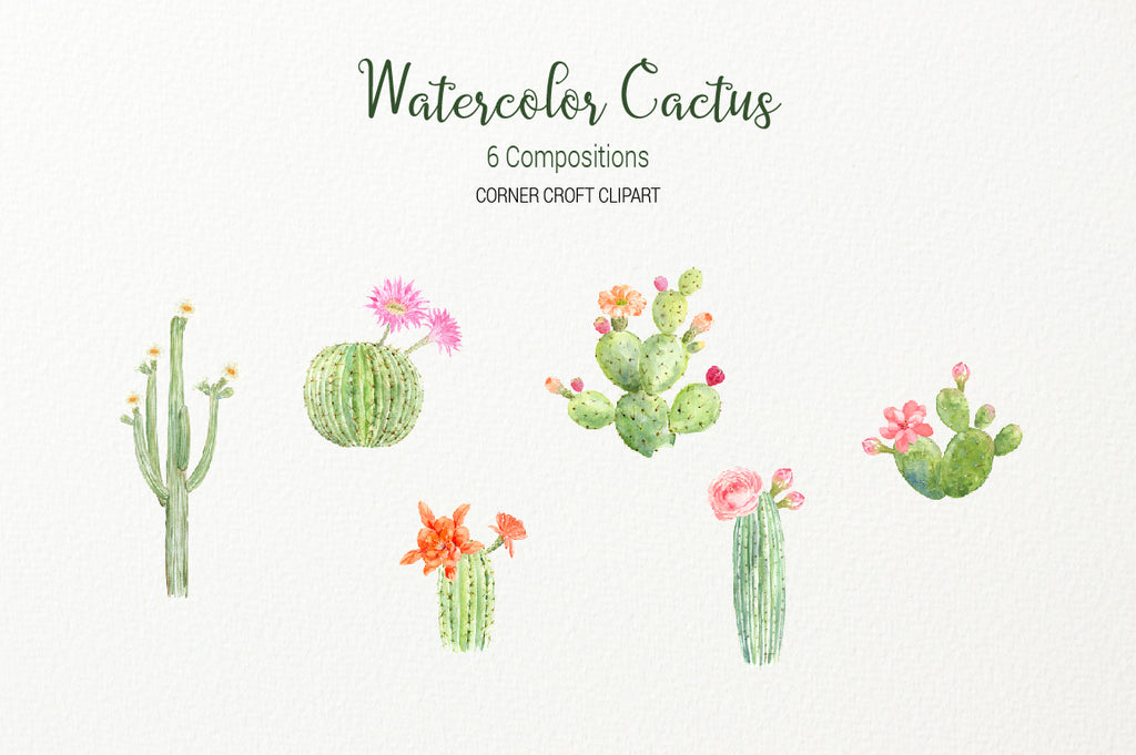 giant Saguaro cactus, ball cactus, cowboy cactus, red foxtail cactus, Euphorbia ingens, bunny ear cactus (polka dot cactus), Hairbrush cactus prickly pear, and crafted cactus