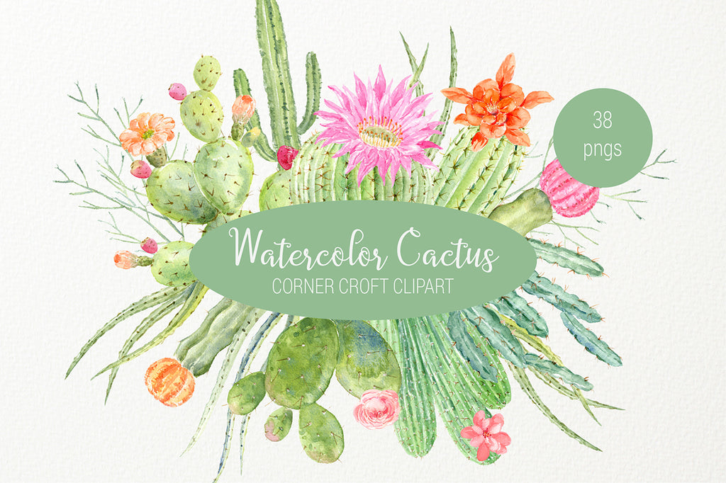 watercolor cactus clipart, detailed botanical illustration, instant download