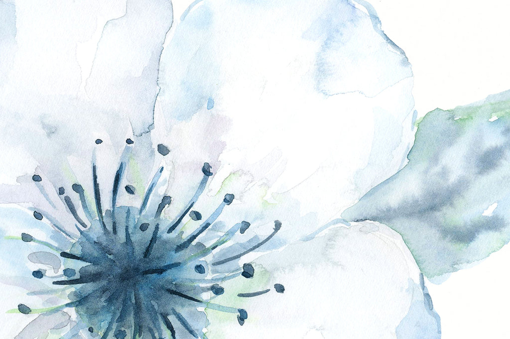 Watercolor white cherry blossoms, watercolour flower, white flower, print, digital download 
