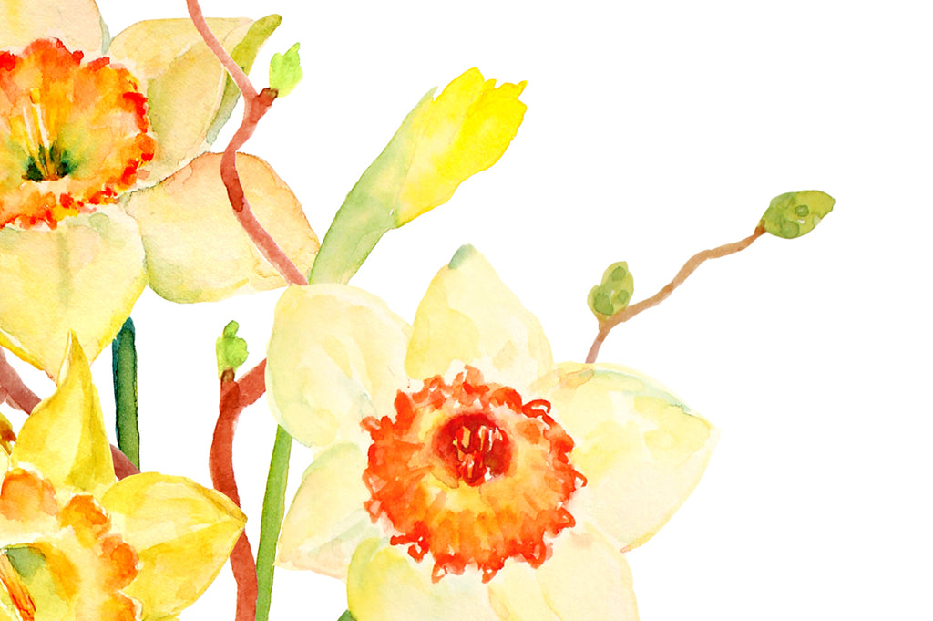 digital download of art print of spring flower daffodils floral arrangement. 