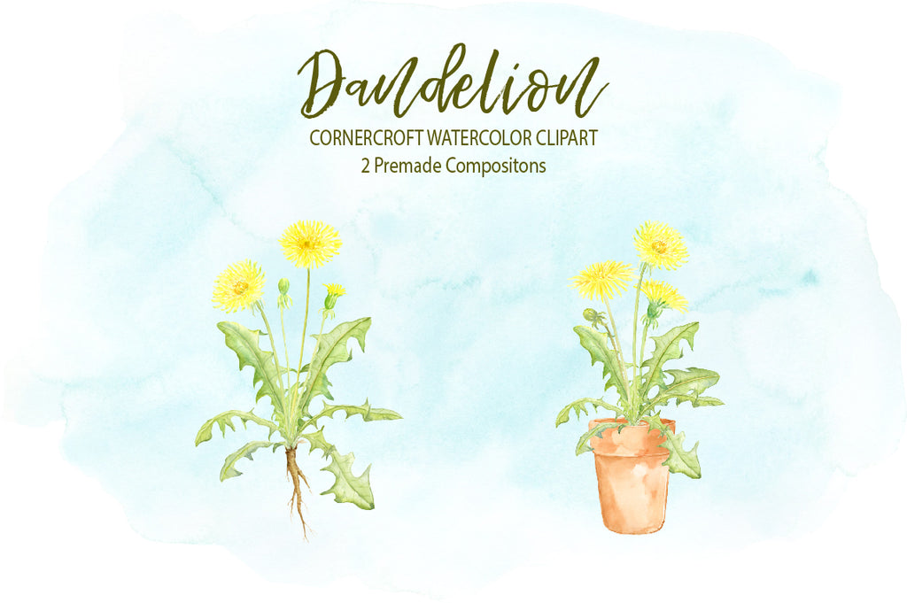 watercolor clipart, dandelion illustration, watercolour dandelion in pot, 
