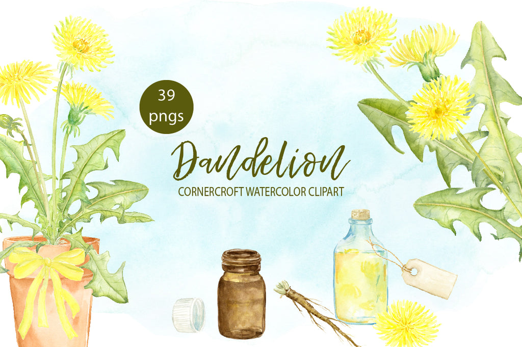 watercolor clipart, dandelion clipart, dandelion flower, nature illustration 