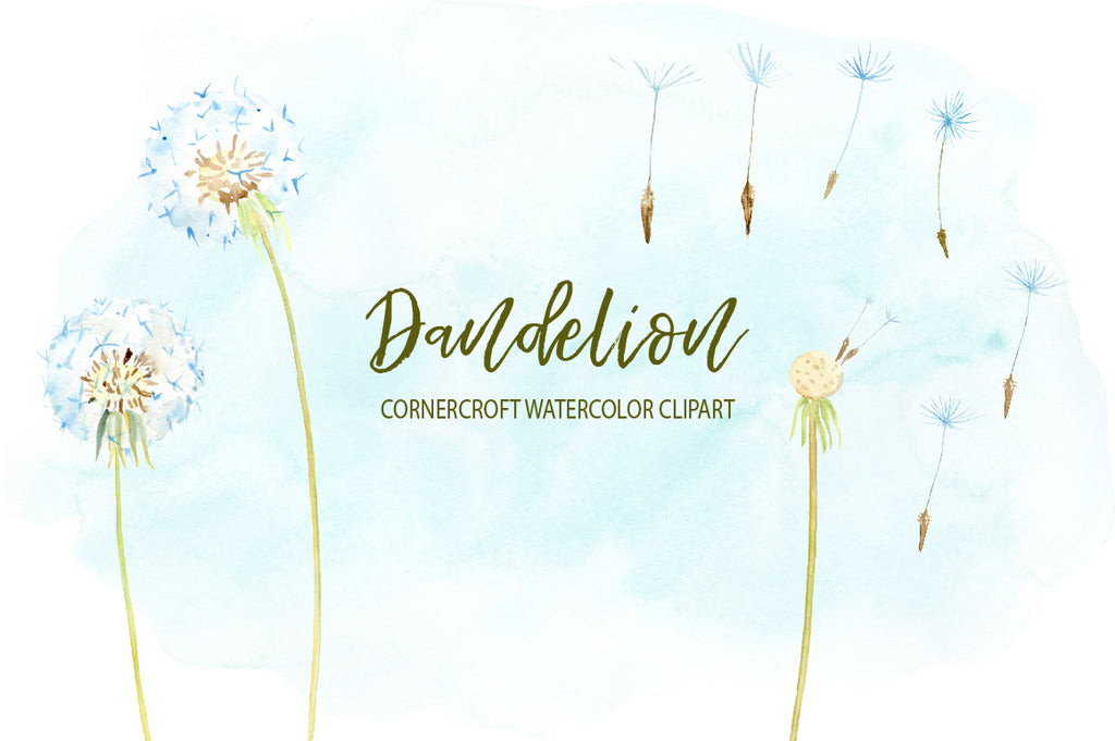 dandelion seed heads, watercolor illustration, instant download 