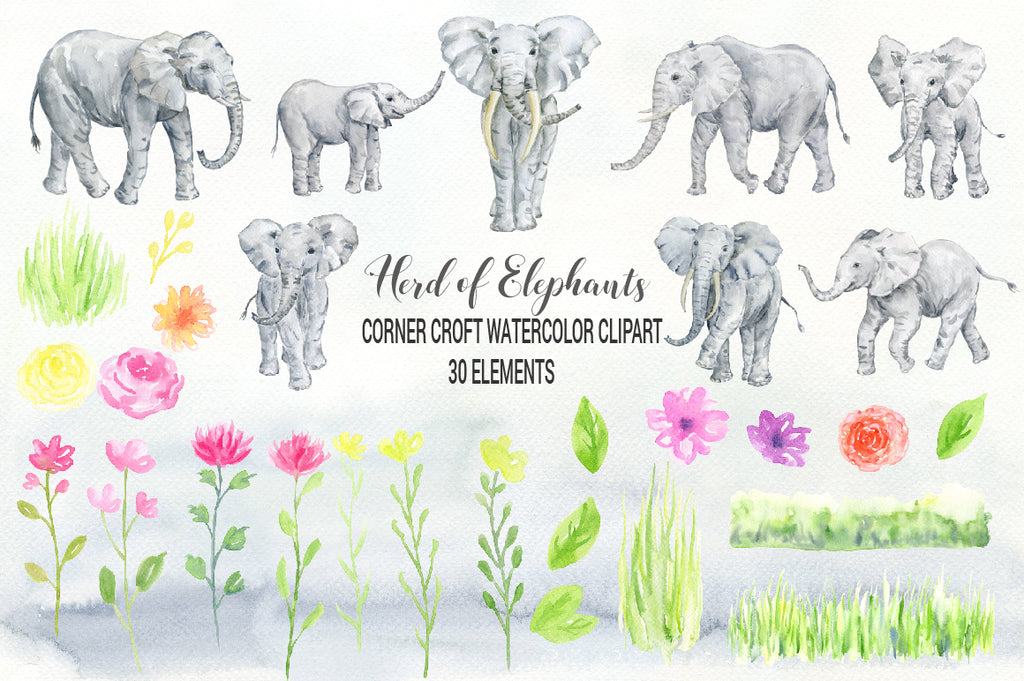 animal clipart, elephant clipart, watercolor illustration of elephants, elephant family