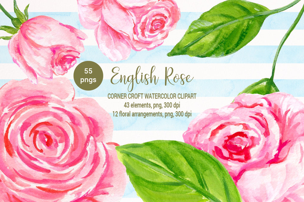 watercolor pink rose clipart, English rose illustration, hand painted rose, digital download 