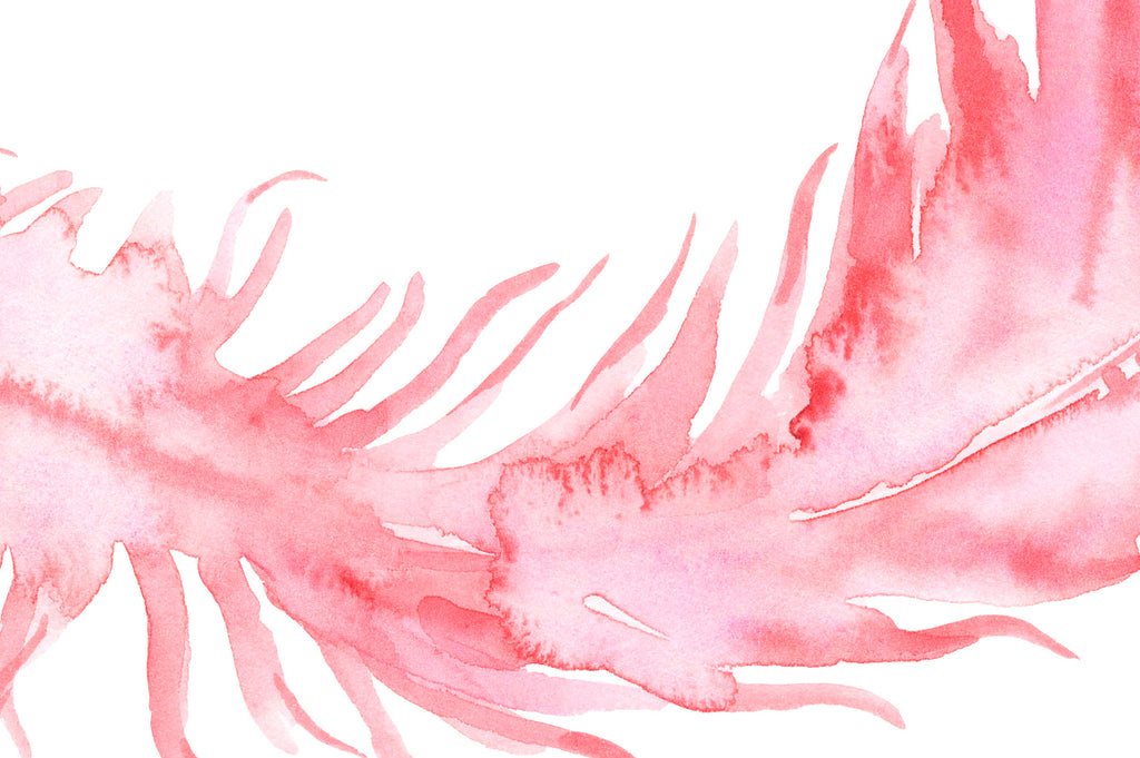watercolor pink feather, salmon pink feather, watercolour feather, instant download