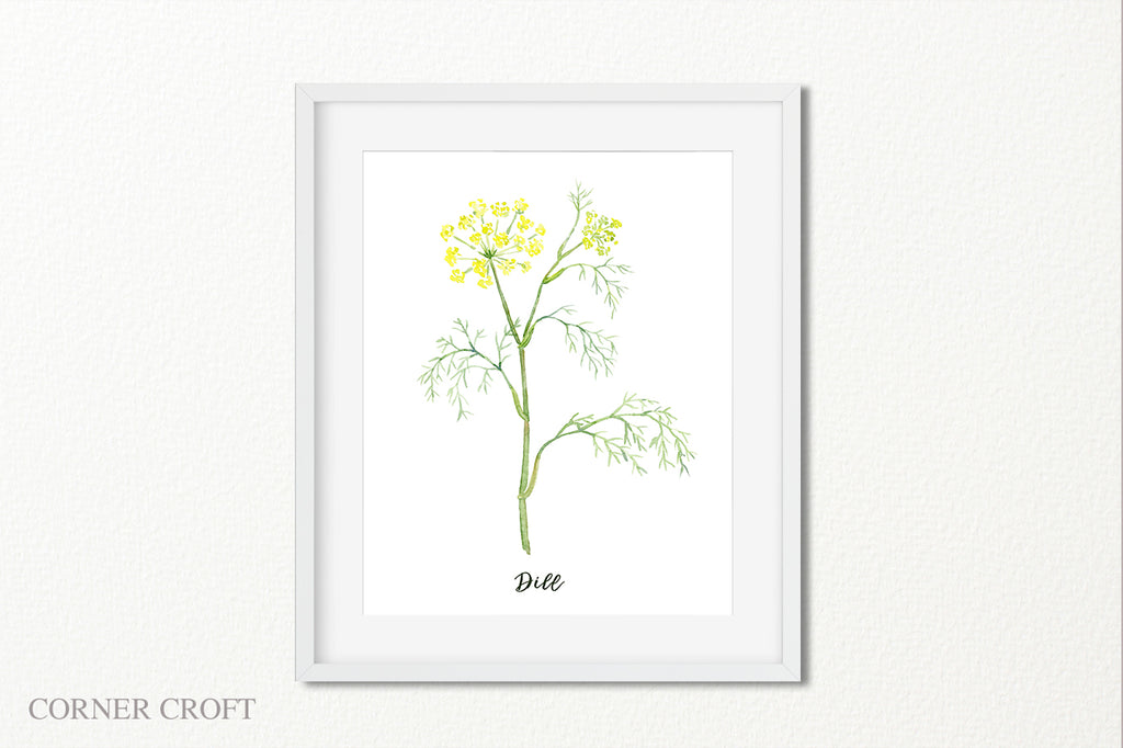 watercolor illustration herb dill, fennel with yellow flowers, printable, herb instant download