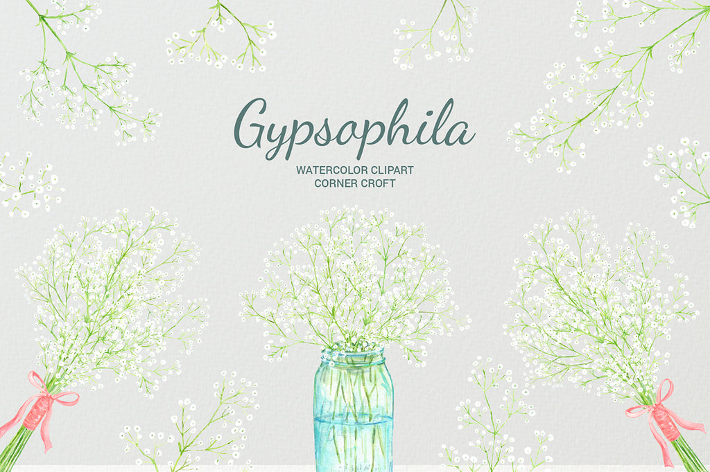 hand painted watercolour baby's-breath, gypsophila illustration, instant download 