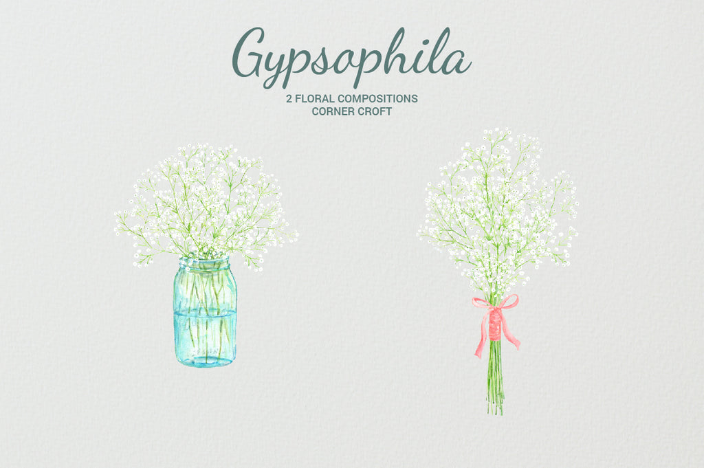 watercolour gypsophila, baby's-breath, wedding flower, white flower, digital download 