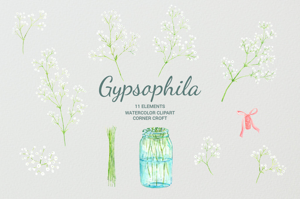 watercolour gypsophila, baby's breath, watercolor clipart, gypsophila illustration 