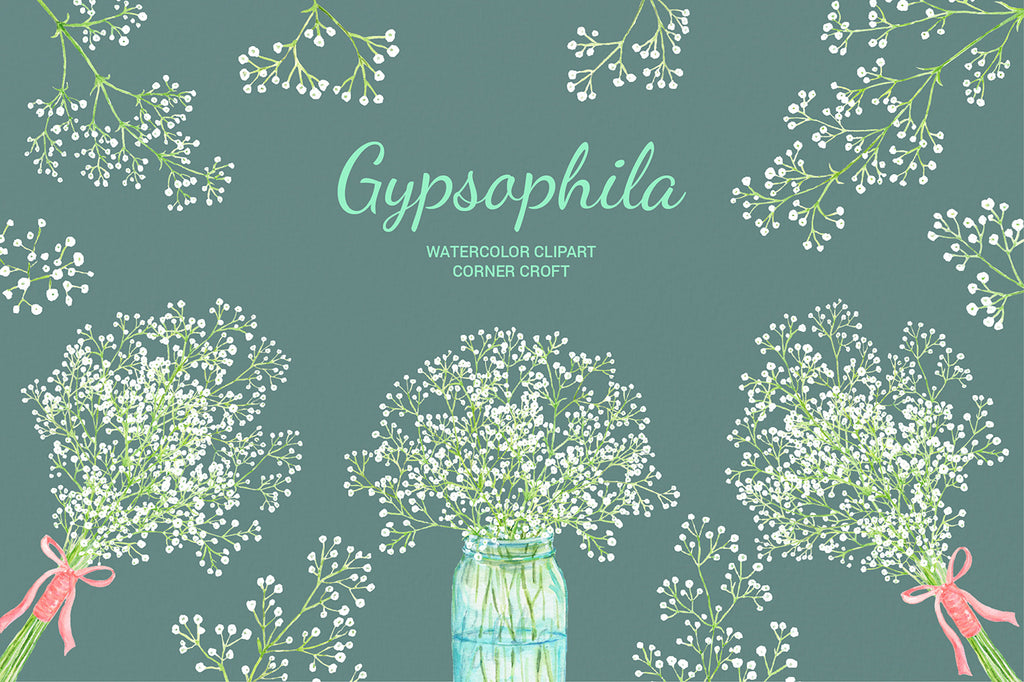 Watercolor gypsophila, baby's breath, mason jar flowers, gypsophila bouquet for instant download