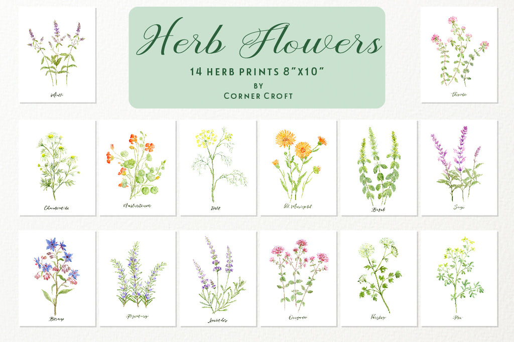 herb prints, watercolor herb print, instant download 