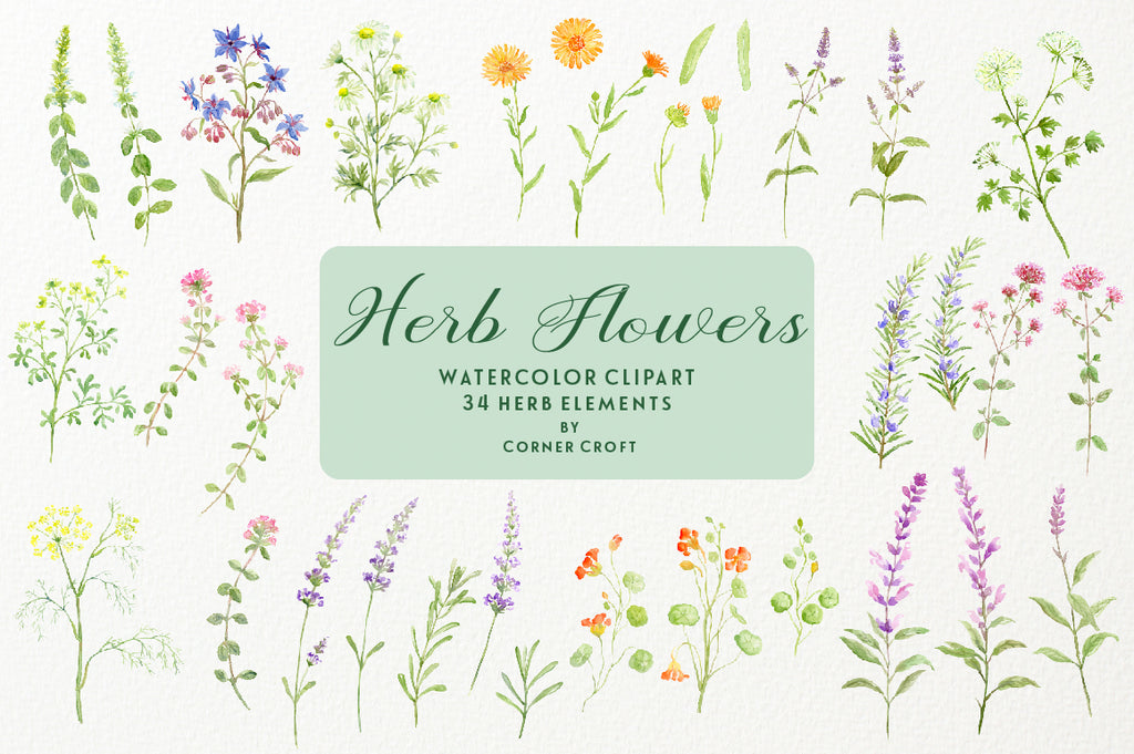 flowering herb elements basil, borage, chamomile, fennel (dill), lavender, mint, nasturtium, oregano, parsley, pot marigold, rosemary, rue, sage and thyme