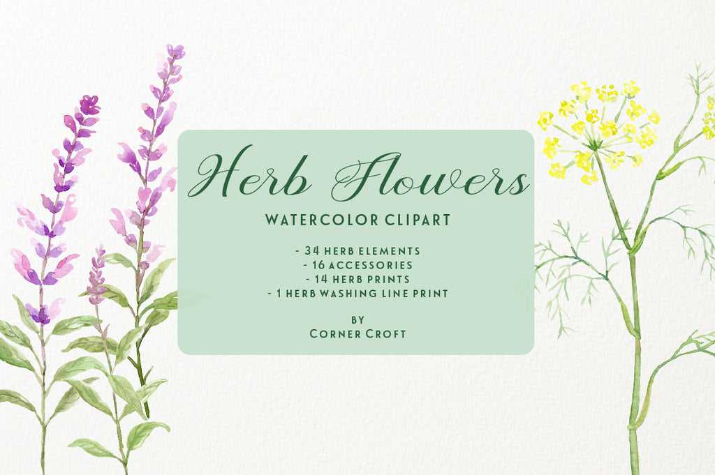 watercolor herb flower collection, basil, borage, chamomile, fennel (dill), lavender, mint, nasturtium, oregano, parsley, pot marigold, rosemary, rue, sage and thyme