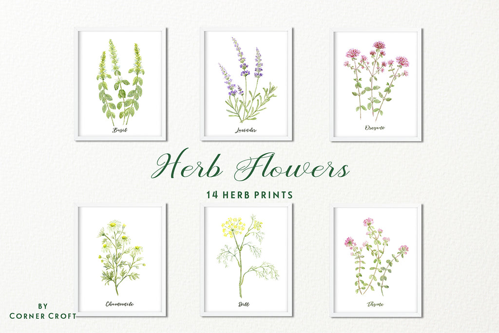 herb print, watercolor herb illustration, instant donwload