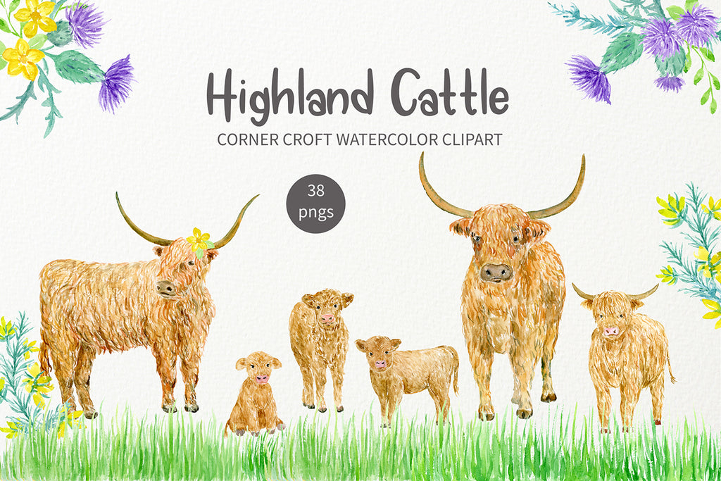 watercolor highland cattle, farm animals, cub, cow family, animal clipart