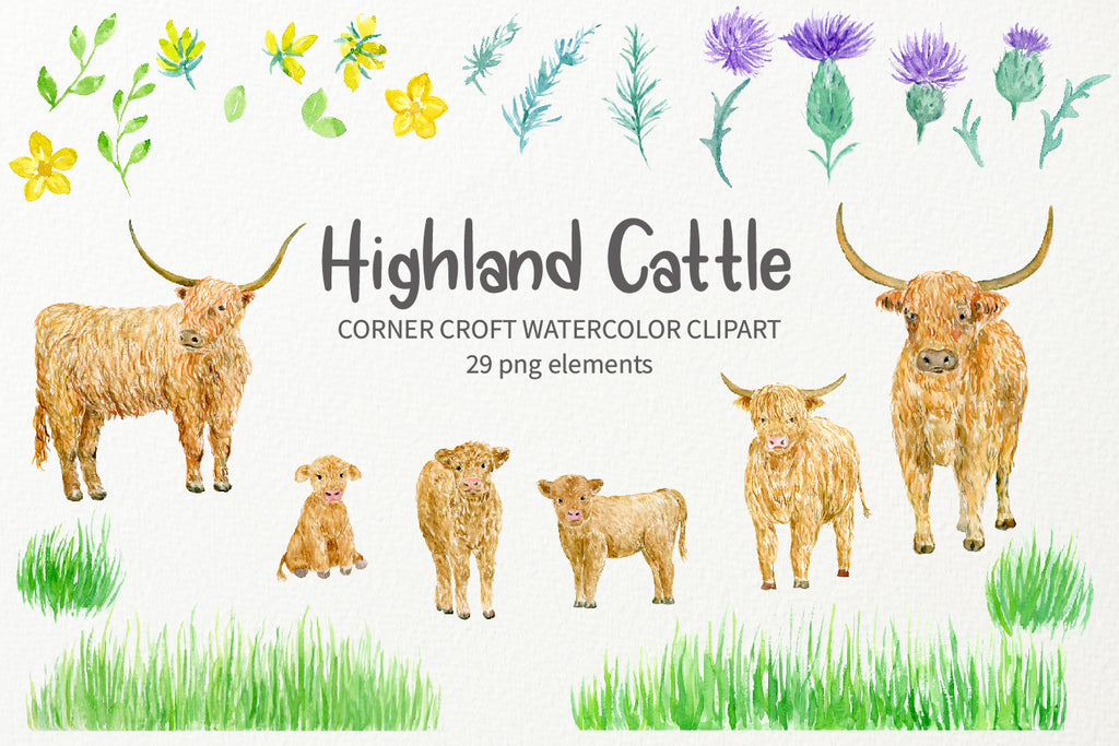 watercolour highland cattle illustation for making personalised prints, my family prints