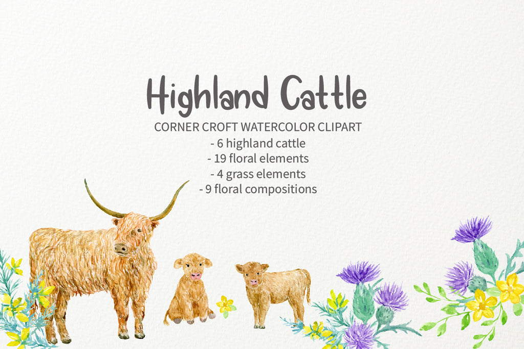 Watercolour scotish cows, purple thistle and yellow gorse, and green grass digital download