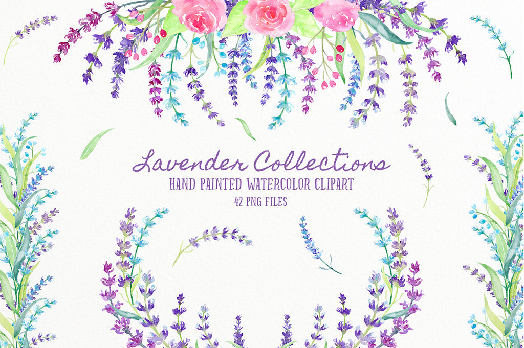 watercolor lavender collection. pink, purple lavenders and pink roses