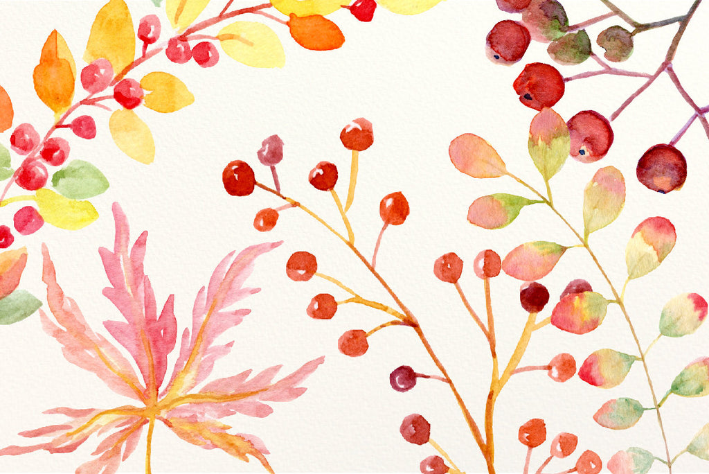 Hand painted watercolor clipart, autumn themed orange and golden leaves, flowers, berries and decorative elements for instant download.