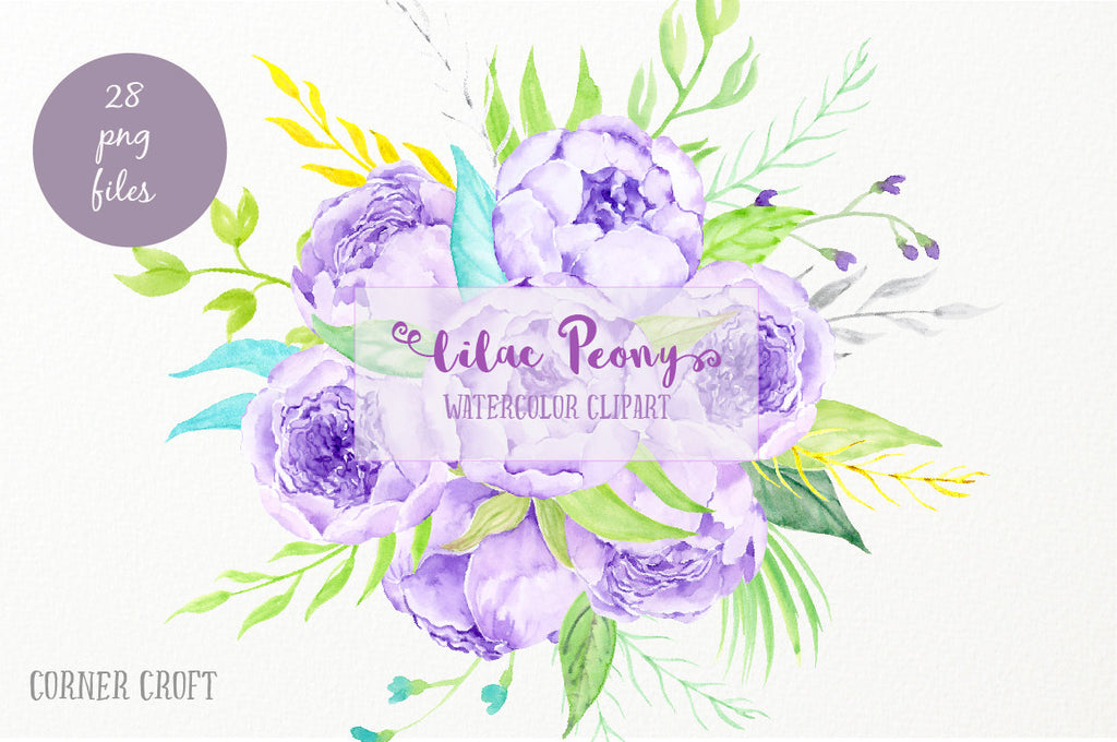 watercolor lilic peony, purple peony, wedding peony