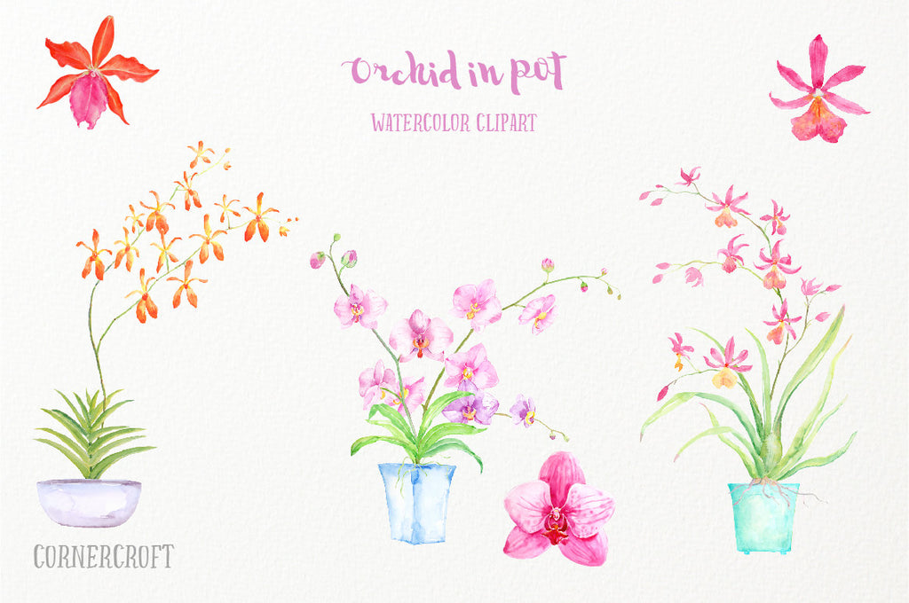 watercolor clipart orchid in pot, pink orchid 