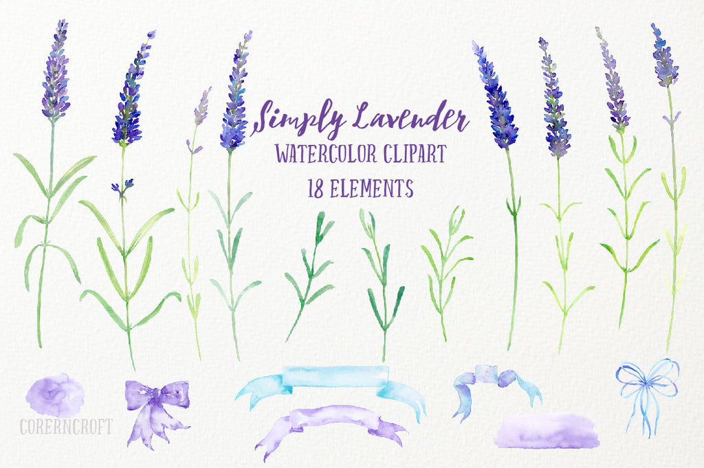 herb lavender illustration, digital download 