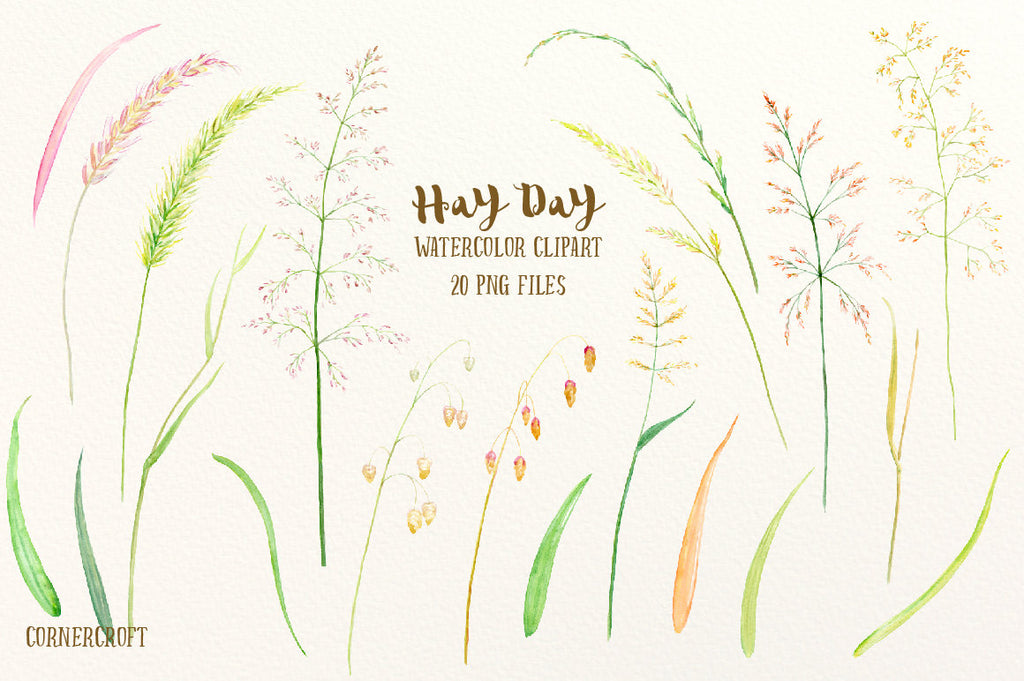 Watercolor clipart Hay Day, grass seed heads, ornamental grass