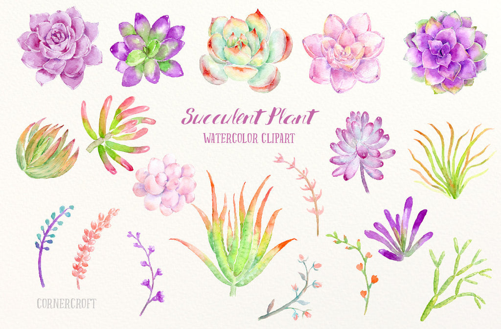 watercolor clipart succulent plant in pink and purple theme