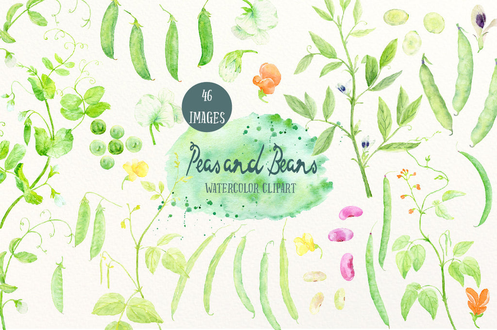 Watercolor Peas and Beans, garden peas, mangetout, green beans and runner beans for instant download, watercolor Legumes