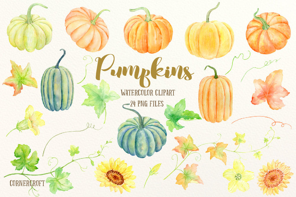 watercolor pumpkin clipart, pumpkin illustration, thanksgiving clipart
